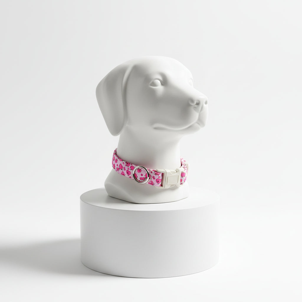 Ein Herz für große Lieblinge! 💖🐶