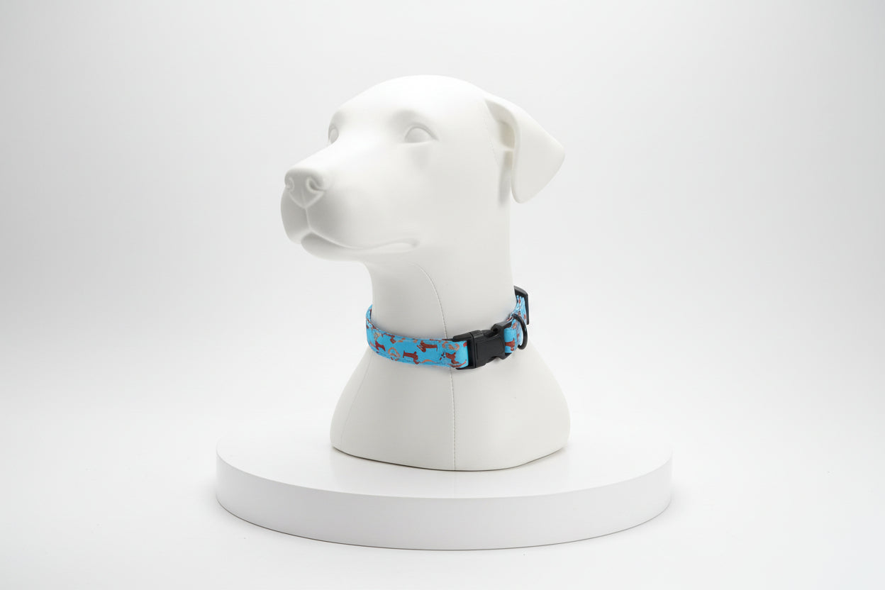Dackel-Glück Hundehalsband (Größe M)